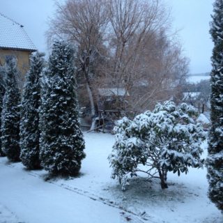 Baumhaus im Winter